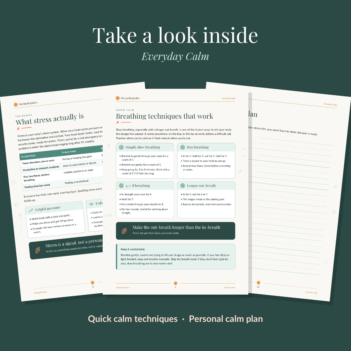 Everyday Calm: A Practical Toolkit for Stress
