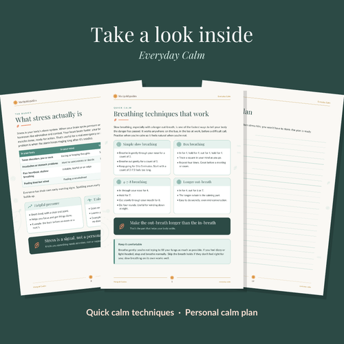 Everyday Calm: A Practical Toolkit for Stress