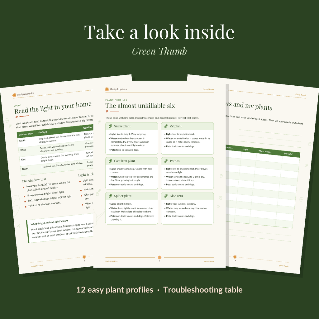 Green Thumb: Keep Your Houseplants Alive and Thriving