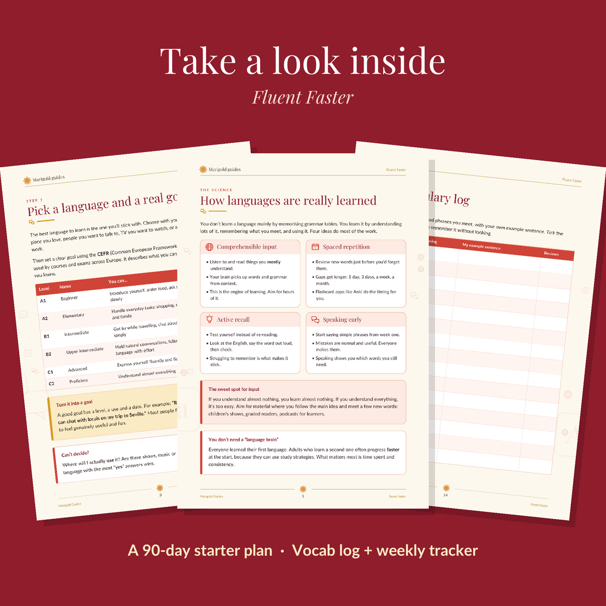 Fluent Faster: Learn a New Language the Smart Way